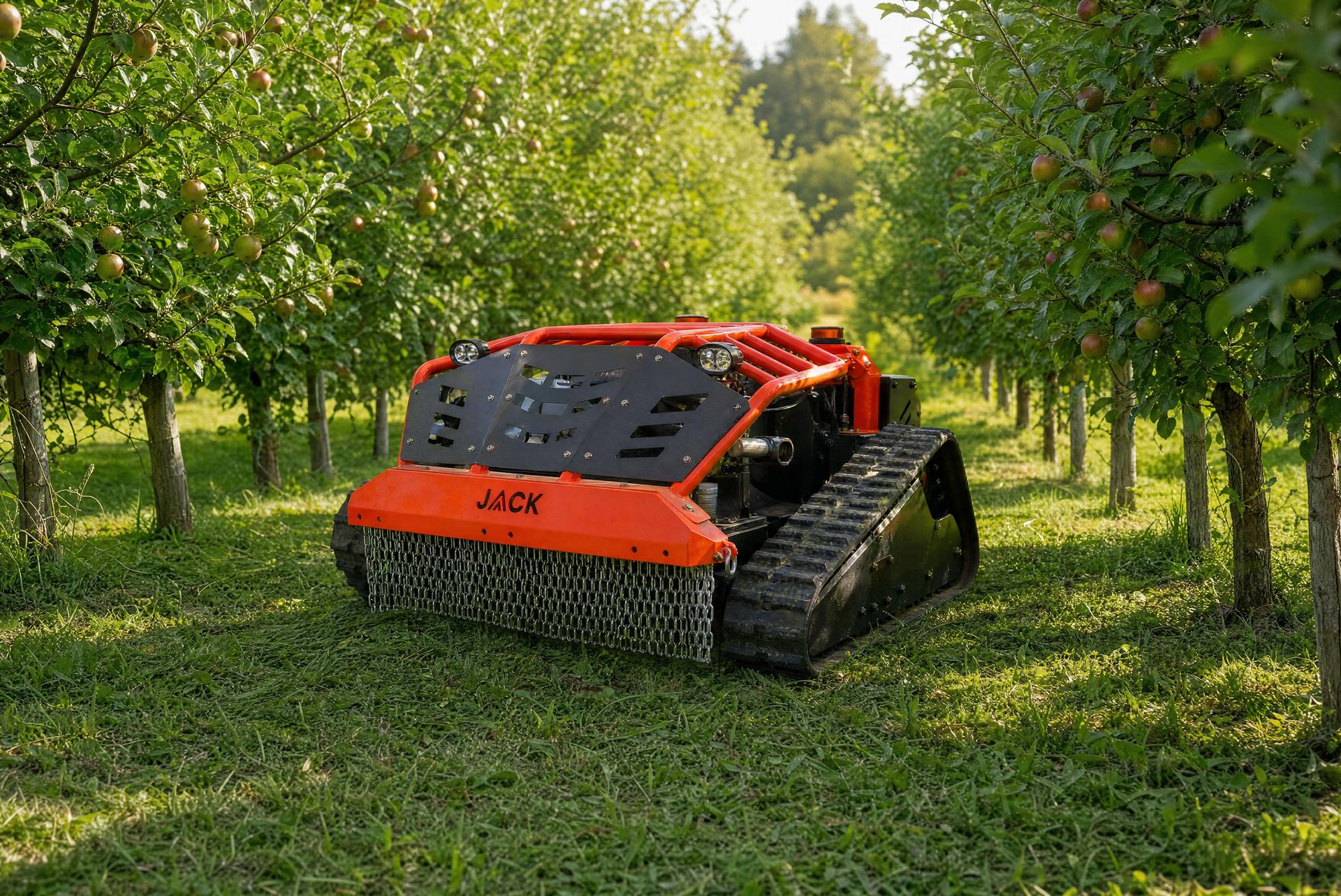 Jack Mulcher im Weingarten