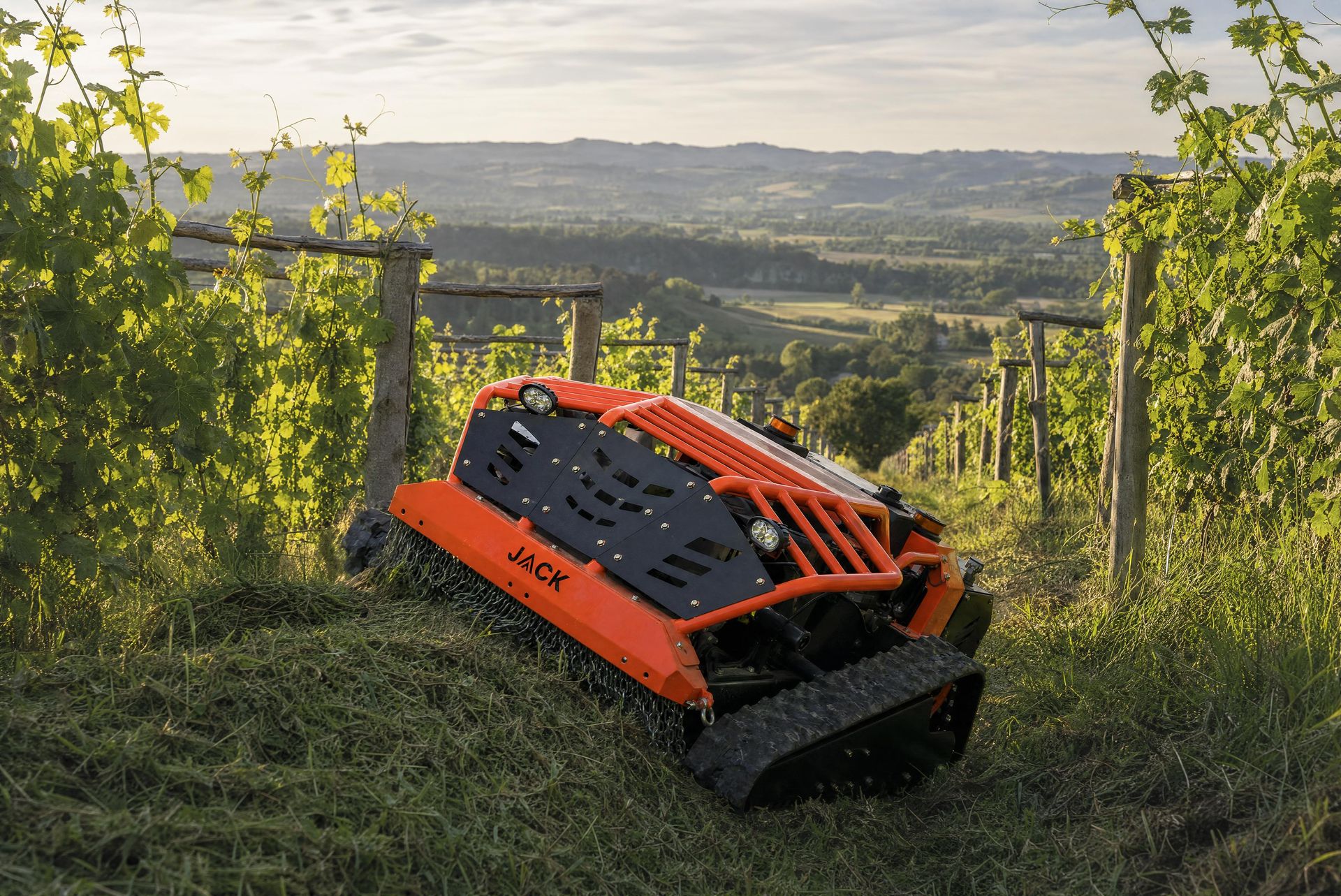 Jack Mulcher between vineyard areas