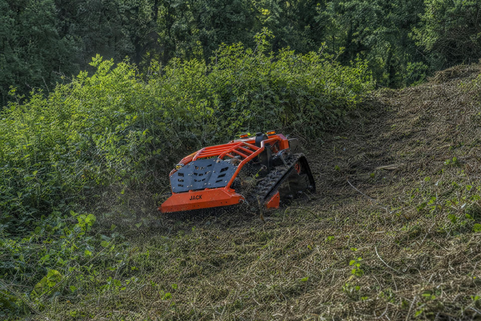 Jack Mulcher in dichter Vegetation