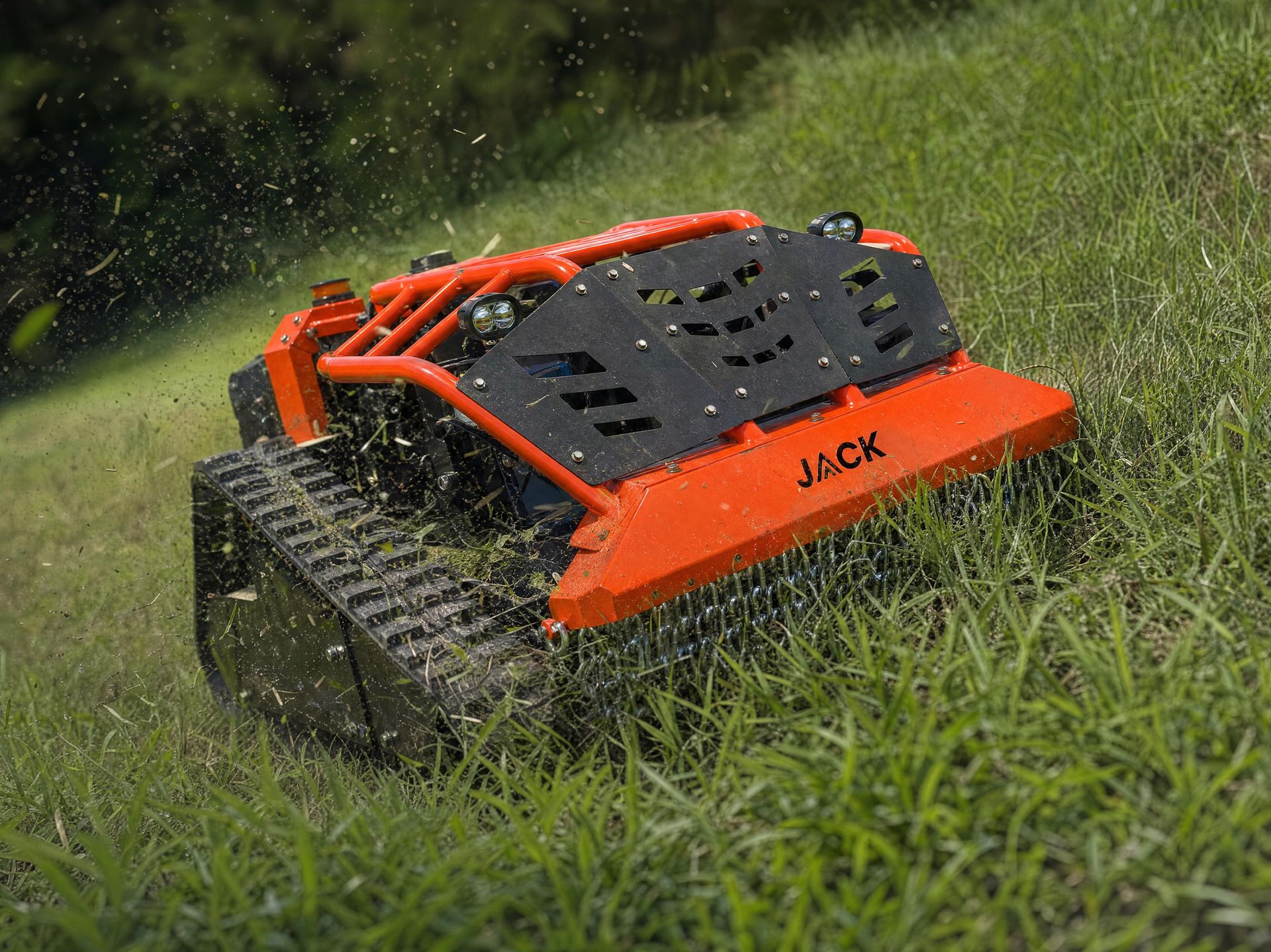 Jack Mulcher in tall grass