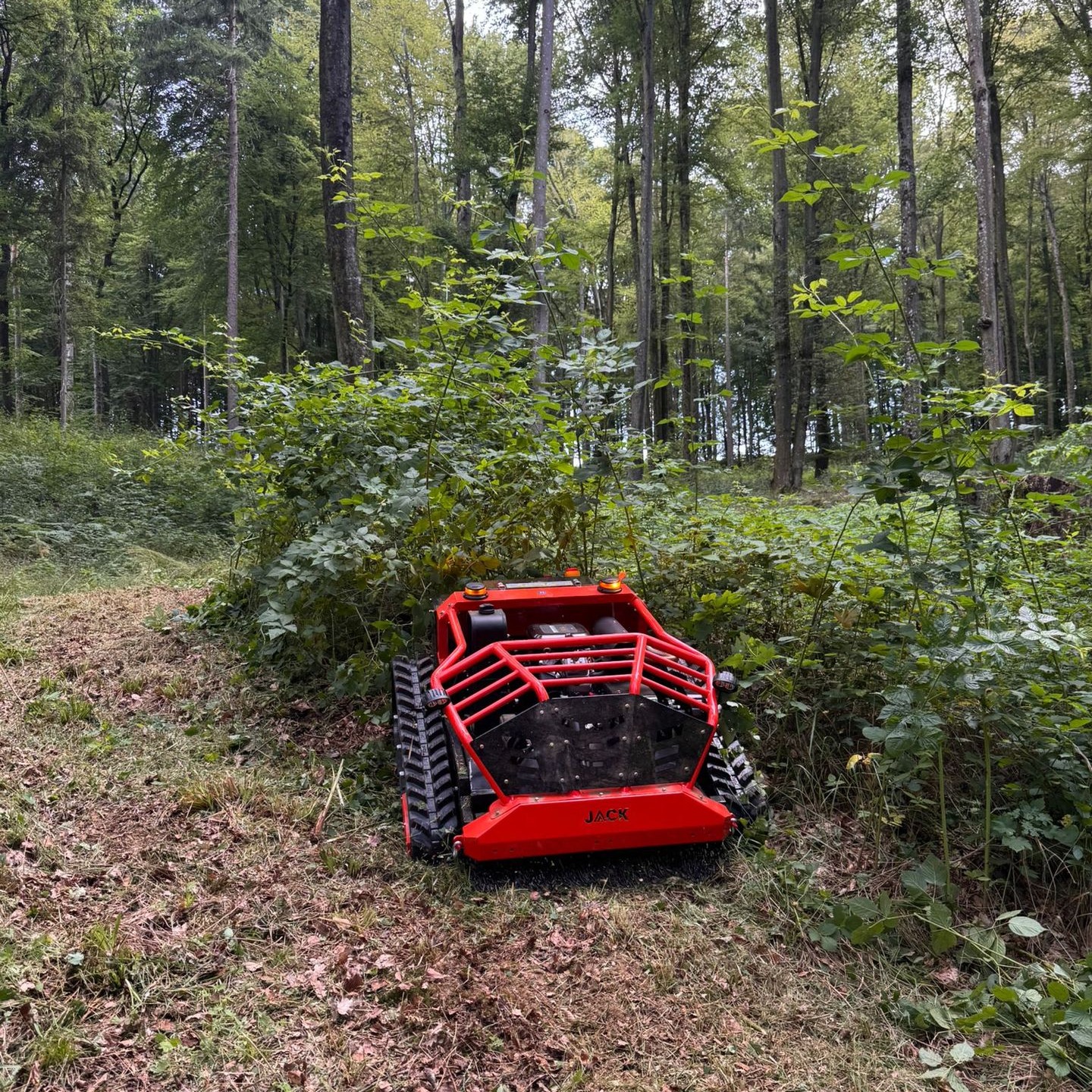 JACK Schlegel im Einsatz im Wald bei dichten Bewuchs