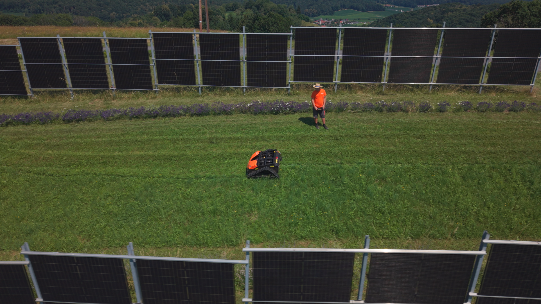 JACK Mini Mulcher im Einsatz am PV Park