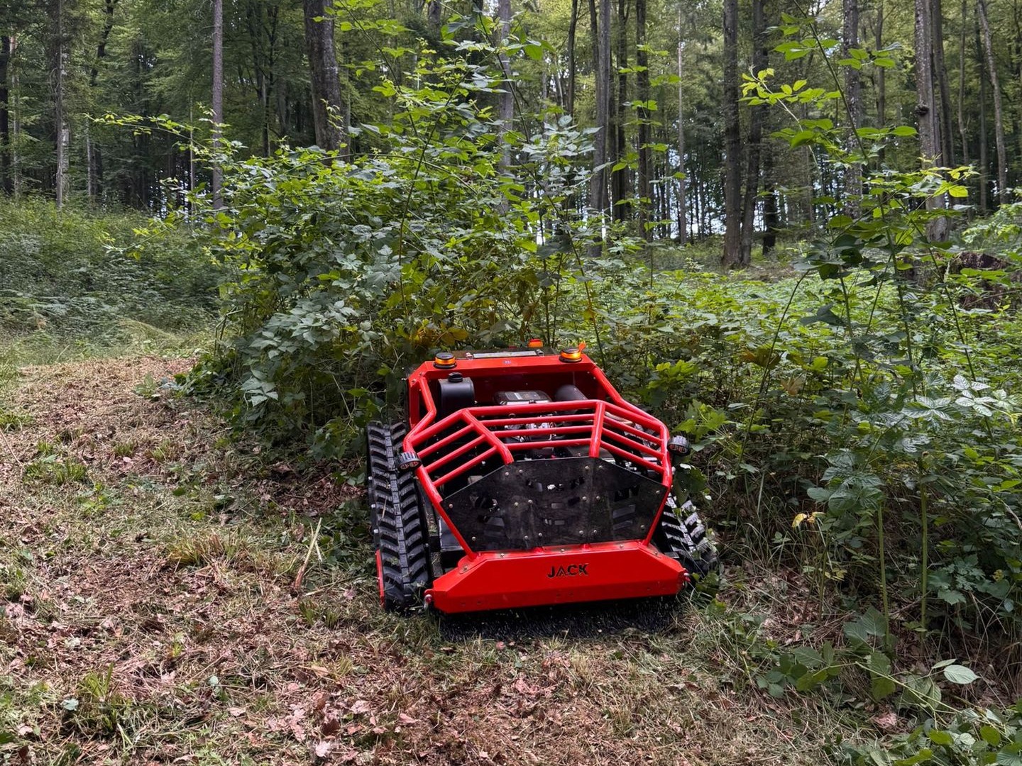 JACK Schlegel Mulcher im Einsatz im Wald