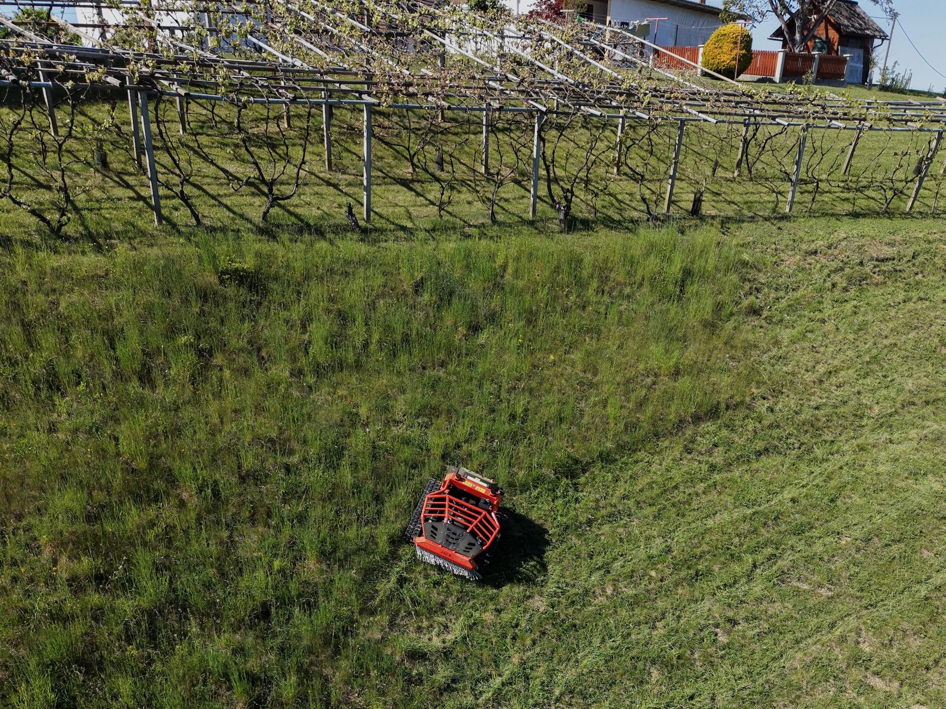 JACK Mulcher Einsatz bei Weinberge